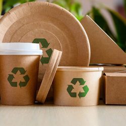 Sustainable Packaging